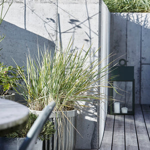 Set of two Concrete Ribbed Planters