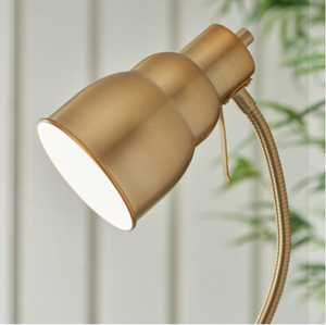 Classic Flexi Floor Lamp in brushed aged brass