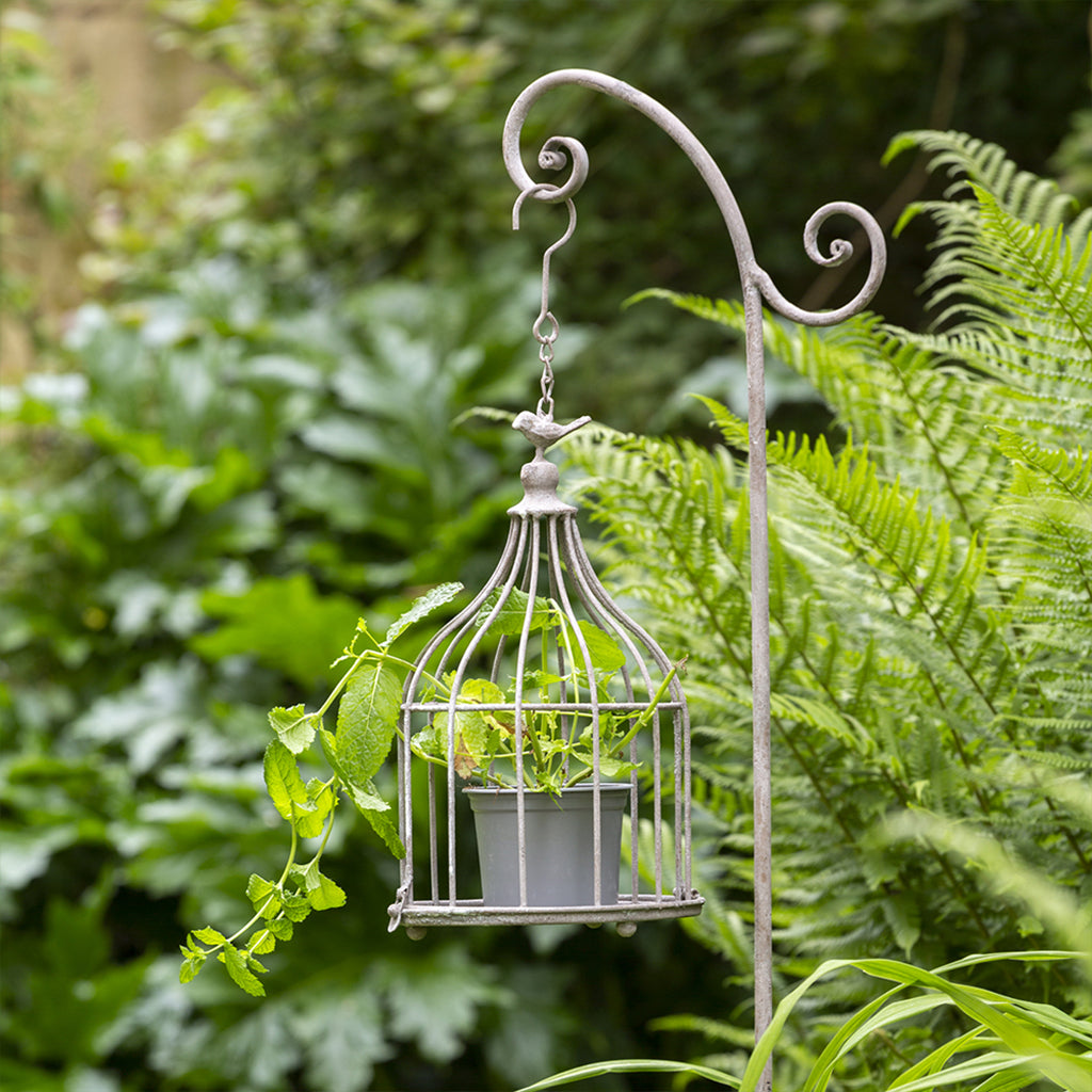 bird cage plant hanger Hanging Bird Cage