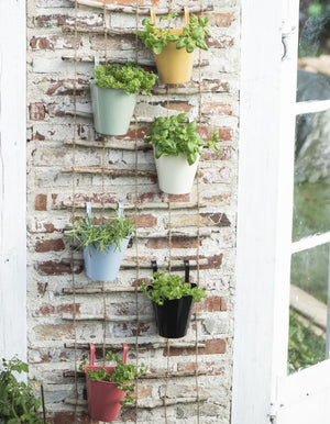 Colourful Hanging Balcony Pots