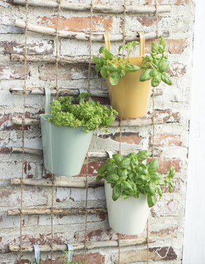 Colourful Hanging Balcony Pots