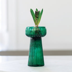 Vibrant Green Ribbed Hyacinth Vase