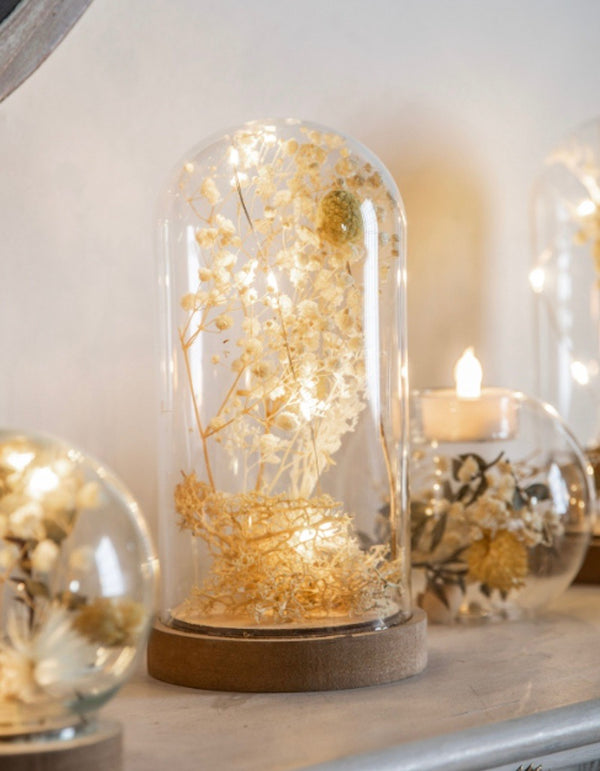 Glass Tall Dome With Dried Flora And LED