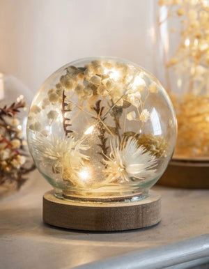 Glass Globe Dome With Dried Flora And LED