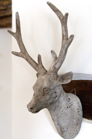 Wall Hung Stag Head - The Forest & Co.