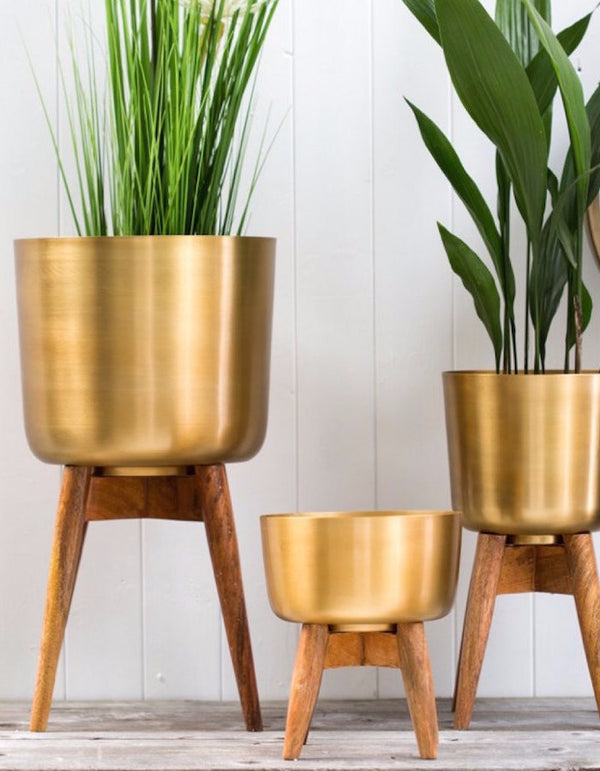 Brass Plant Pot On A Wooden Stand