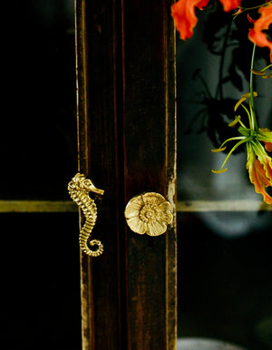Susie Seahorse Brass Doorknob
