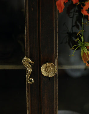 Susie Seahorse Brass Doorknob